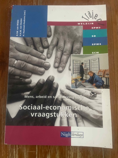 9789042513112-Mens-arbeid-en-samenleving-305-Sociaal-economische-vraagstukk