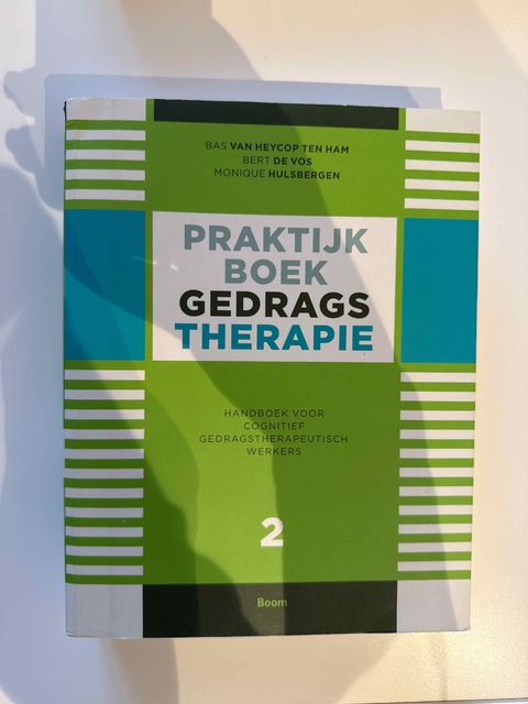 9789461054999-Praktijkboek-gedragstherapie-Deel-2-Handboek-voor-cognitief-gedragstherapeutisch-werkers