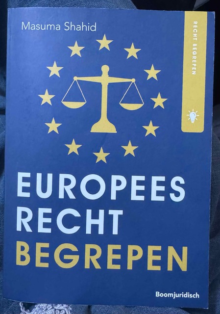 9789462909236-Europees-recht-begrepen