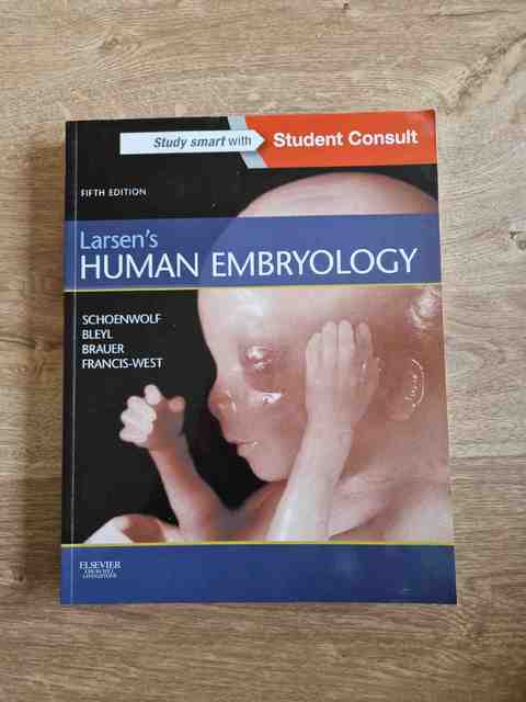 9781455706846-Larsens-Human-Embryology