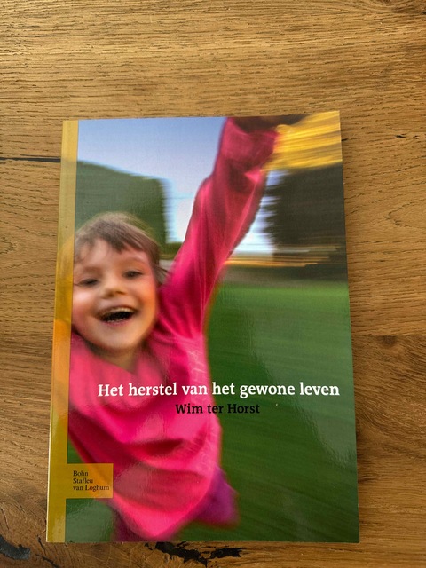 9789031329939-Het-herstel-van-het-gewone-leven