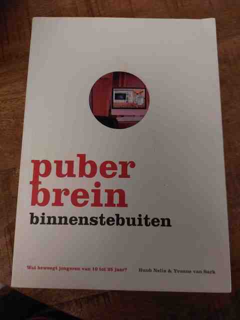9789021541952-Puberbrein-Binnenstebuiten