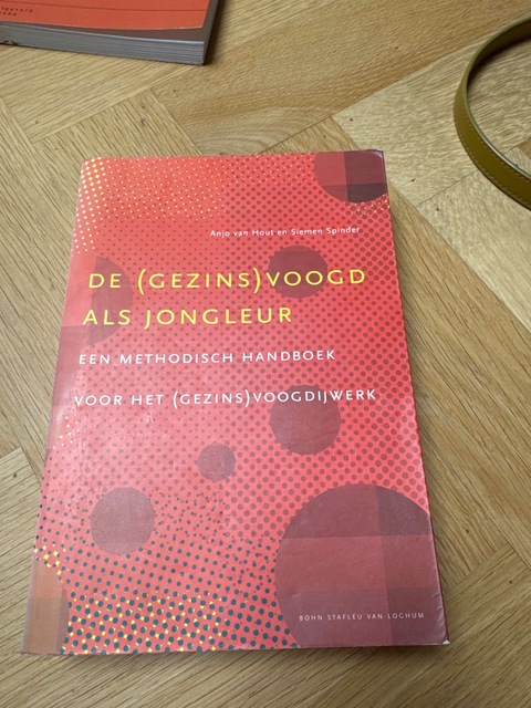 9789031336340-Gezinsvoogdij