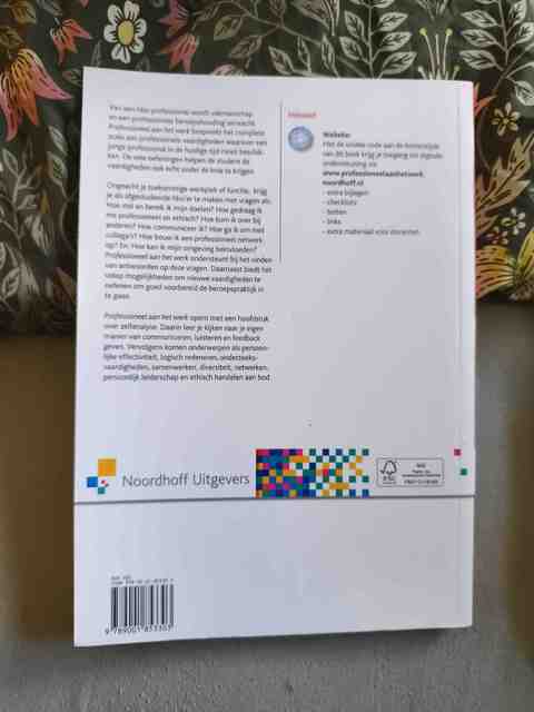 9789001853303-Professioneel-aan-het-werk