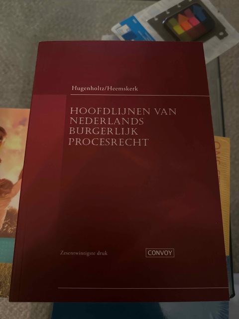9789463173001-Hoofdlijnen-van-Nederlands-Burgerlijk-Procesrecht
