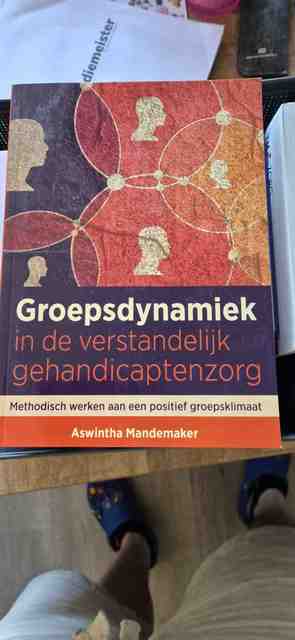 9789088508967-Groepsdynamiek-in-de-verstandelijk-gehandicaptenzorg