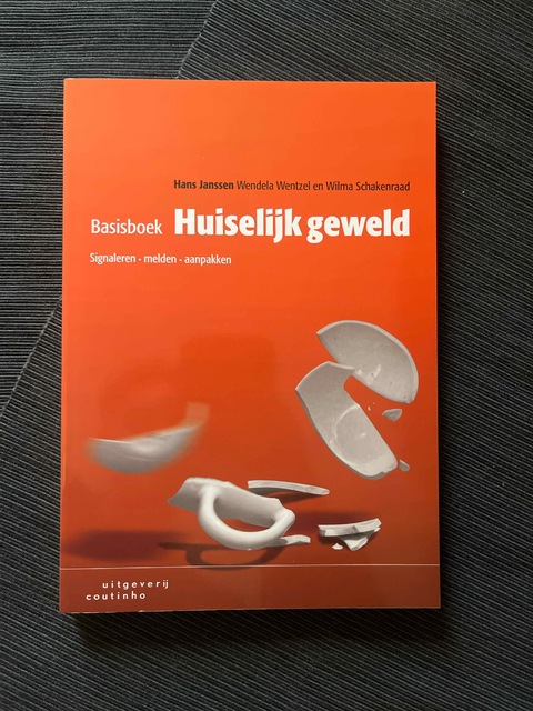 9789046906576-Basisboek-huiselijk-geweld