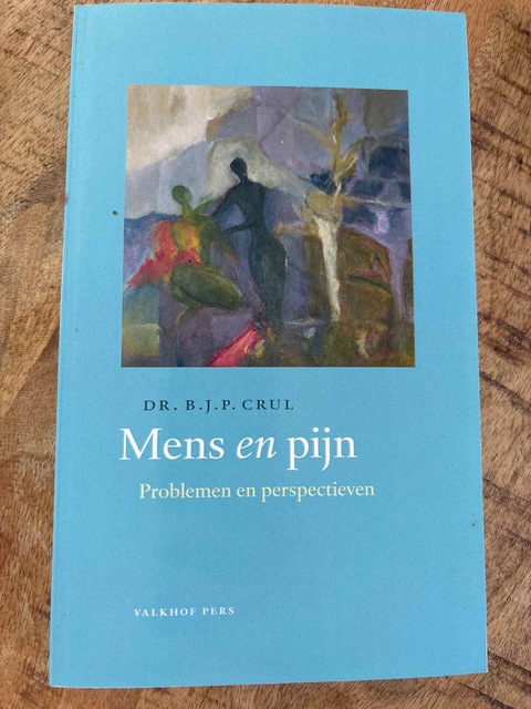 9789056252236-Mens-en-pijn