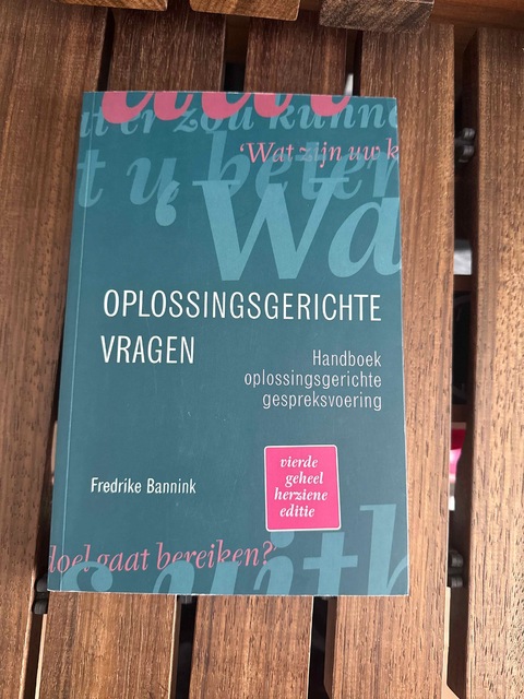 9789043036566-Oplossingsgerichte-vragen
