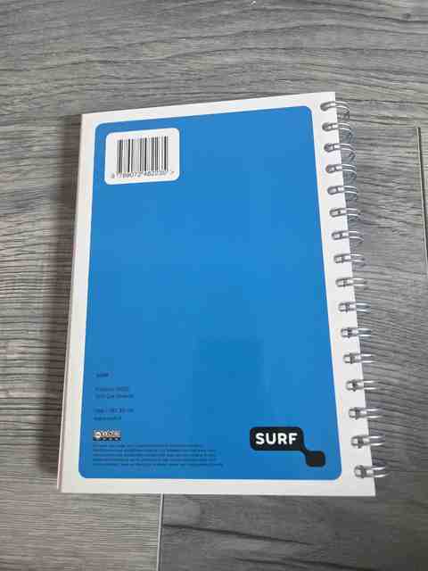 9789072482235-De-APA-richtlijnen-uitgelegd-Een-praktische-handleiding-voor-br