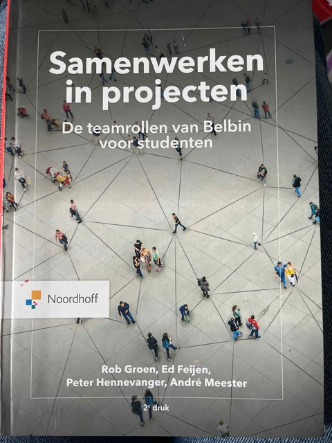 9789001749828-Samenwerken-in-projecten.
