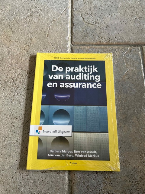 9789001867126-De-praktijk-van-auditing-en-assurance