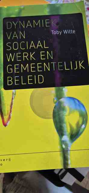 9789046906873-Dynamiek-van-sociaal-werk-en-gemeentelijk-beleid