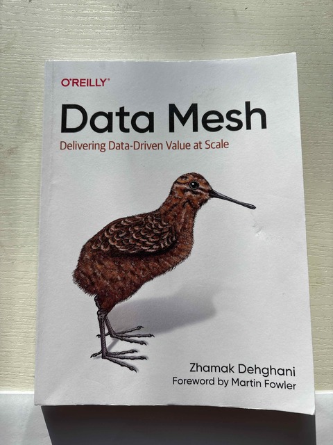 9781492092391-Data-Mesh