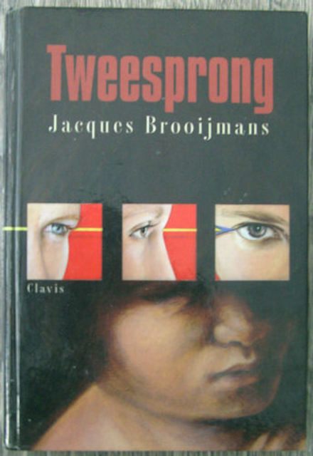 9789068229660-Tweesprong