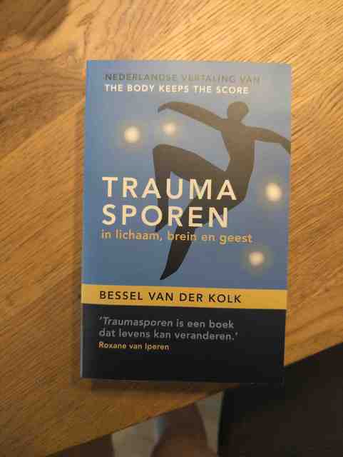 9789463160827-Traumasporen-in-lichaam-brein-en-geest