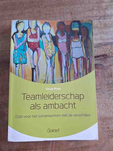 9789044130997-Teamleiderschap-als-ambacht