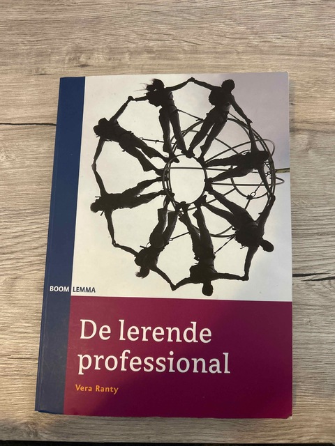 9789047300595-De-lerende-professional
