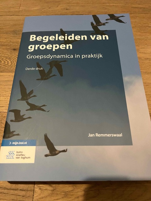 9789036807241-Begeleiden-van-groepen