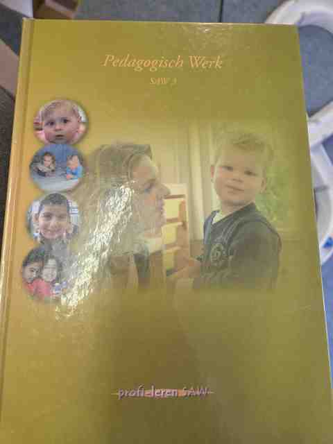 9789085240907-Pedagogisch-werk-SAW-3