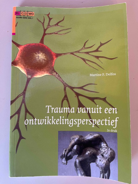 9789088505607-Trauma-vanuit-een-ontwikkelingsperspectief