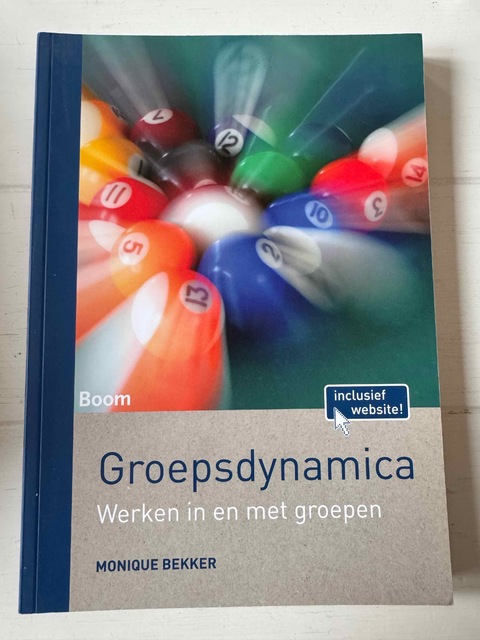9789089539168-Groepsdynamica