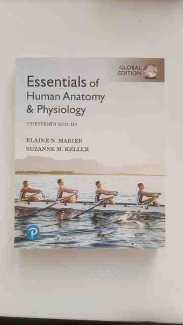 9781292401942-Essentials-of-Human-Anatomy-Physiology-Global-Edition