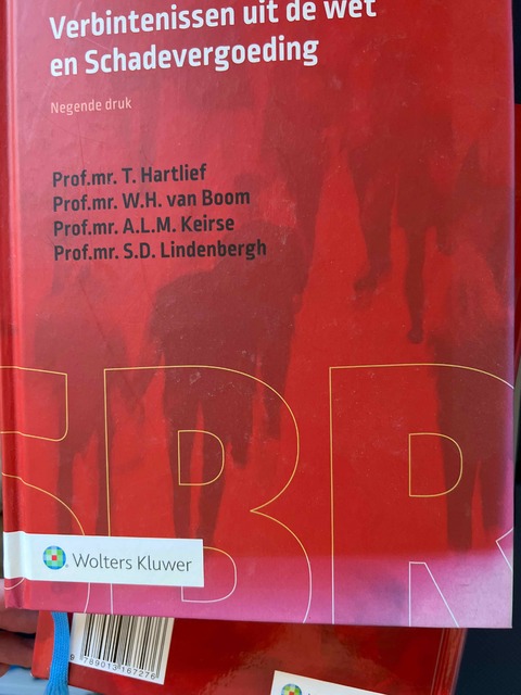 9789013162141-Verbintenissen-uit-de-wet-en-Schadevergoeding
