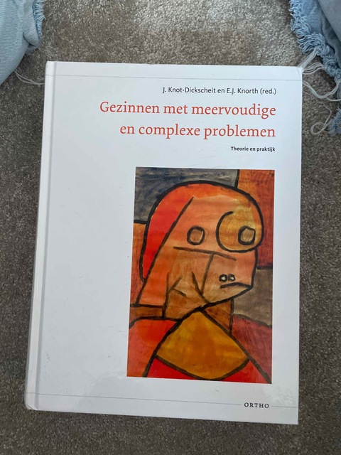 9789047711681-Gezinnen-met-meervoudige-en-complexe-problemen