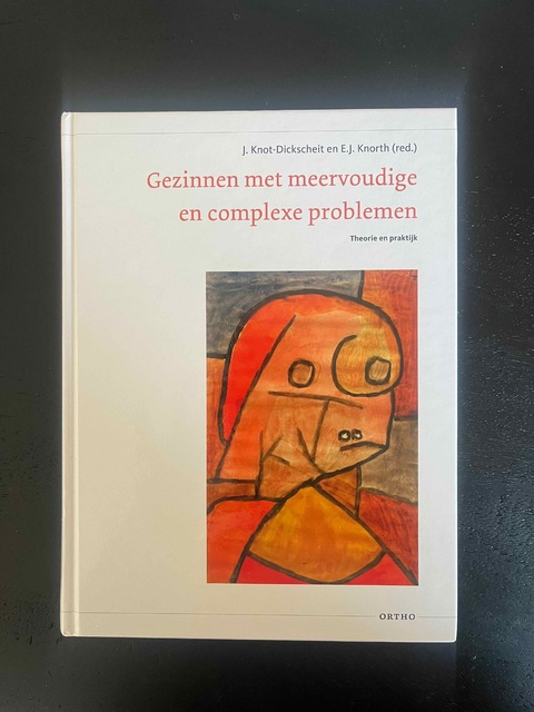 9789047711681-Gezinnen-met-meervoudige-en-complexe-problemen