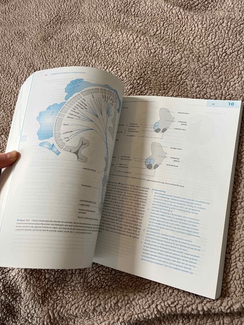 9789036820073-Leerboek-medische-fysiologie