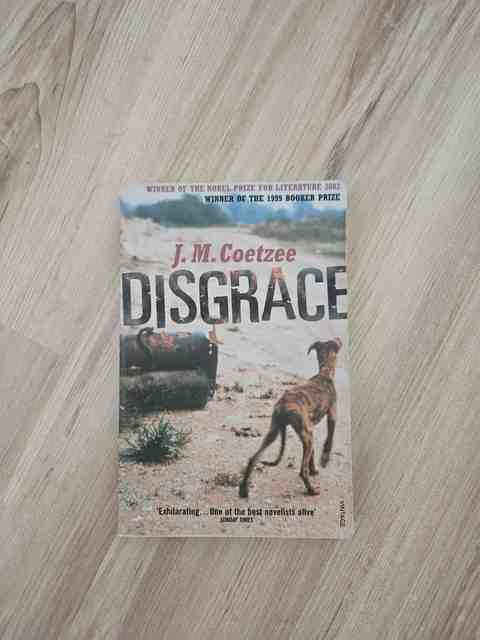 9780099289524-Disgrace