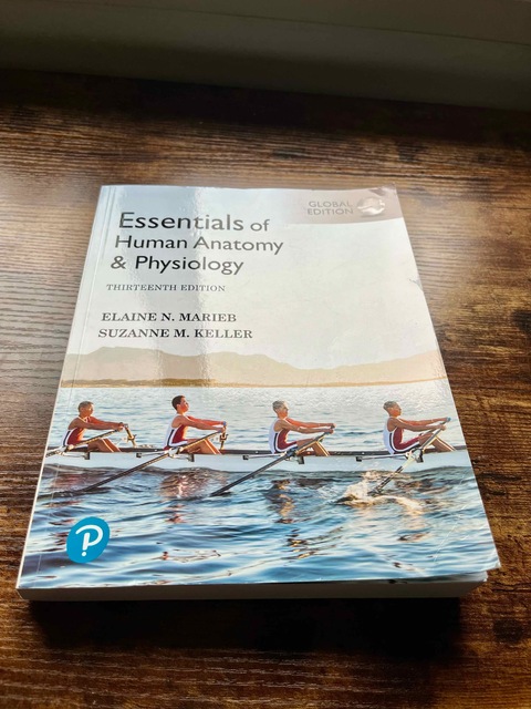 9781292401942-Essentials-of-Human-Anatomy-Physiology-Global-Edition