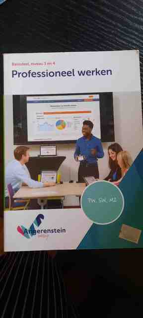 9789037223637-Professioneel-werken