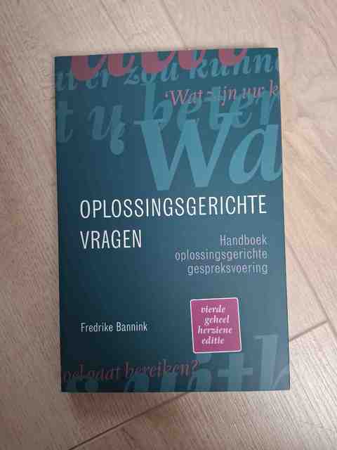 9789043036566-Oplossingsgerichte-vragen