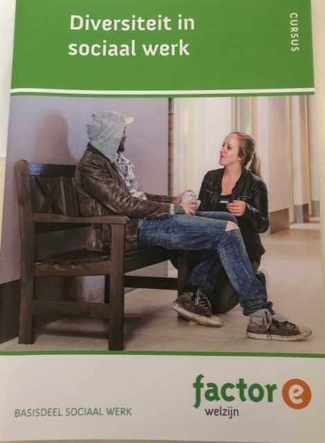 9789037233698-Diversiteit-in-sociaal-werk