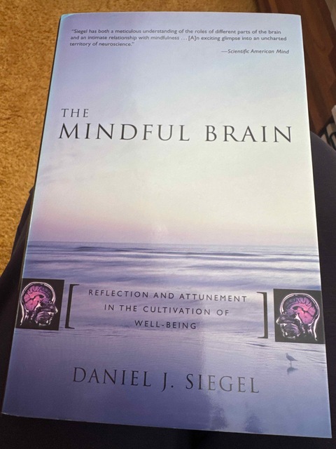 9780393704709-The-Mindful-Brain