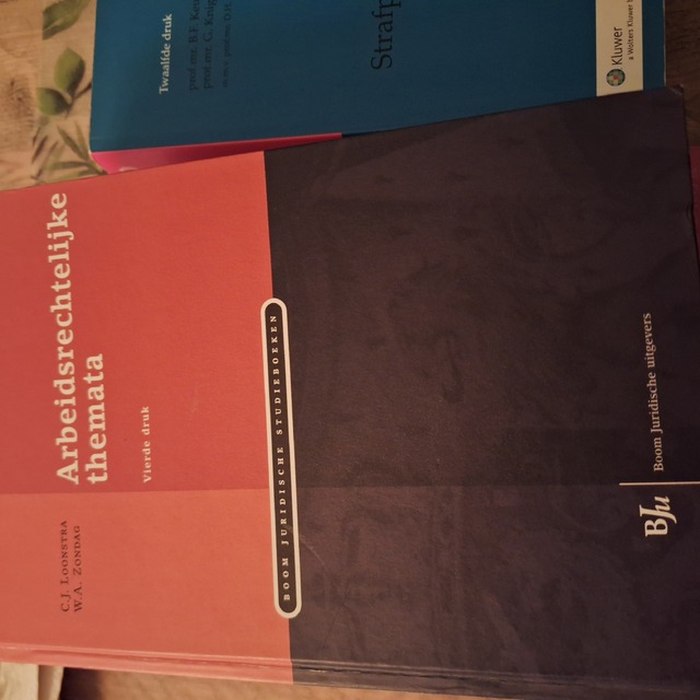 9789089743770-Arbeidsrechtelijke-Themata