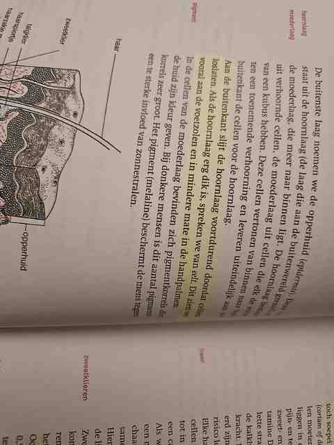 9789036812276-Anatomie-fysiologie-en-pathologie