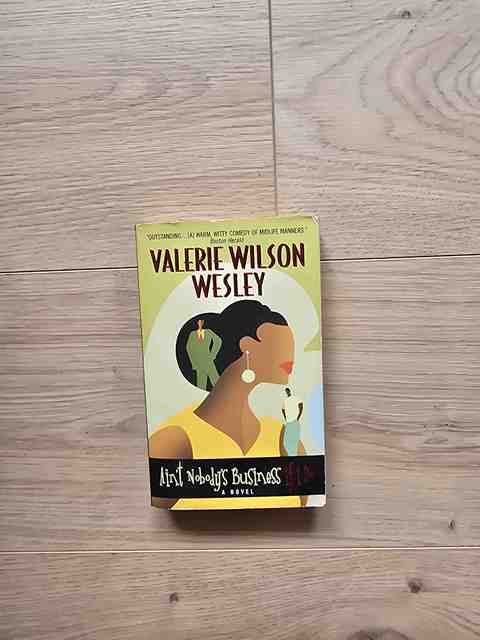 9780380803040-Aint-Nobodys-Business-If-I-Do