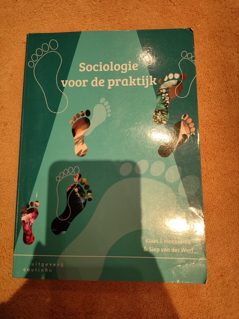 9789046905203-Sociologie-voor-de-praktijk