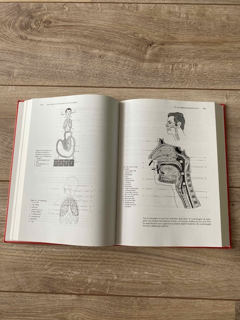 9789036813433-Anatomie-en-fysiologie-van-de-mens-kwalificatieniveau-4