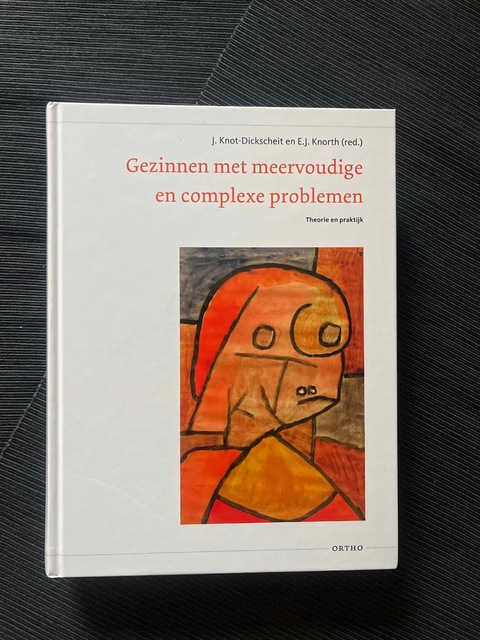 9789047711681-Gezinnen-met-meervoudige-en-complexe-problemen