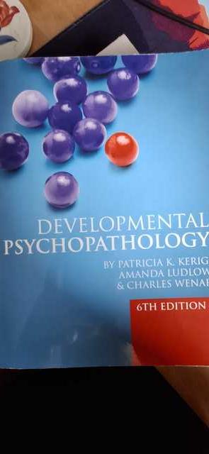 9780077131210-Developmental-Psychopathology-From-Infancy-through-Adolescence