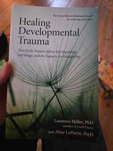 9781583944899-Healing-Developmental-Trauma