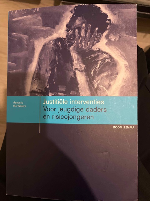 9789089740229-Justitiele-interventies