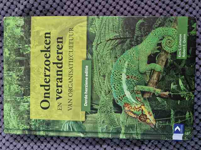 9789052618890-Onderzoeken-en-veranderen-van-organisatiecultuur