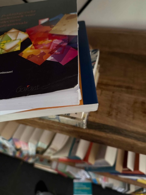 9789044134377-Praktijkgericht-onderzoek-voor-reflectieve-professionals