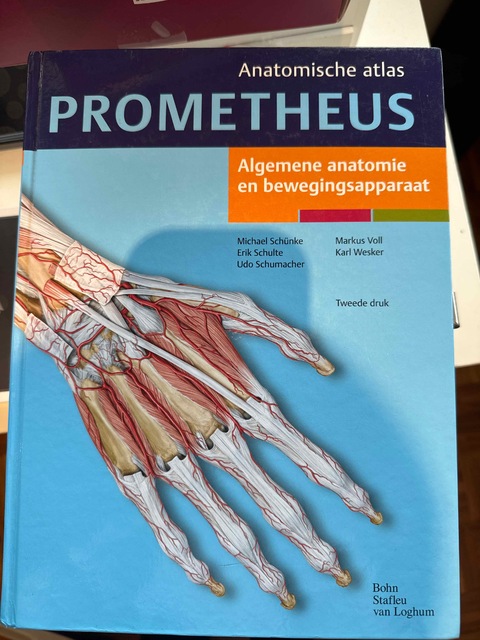 9789031379347-Algemene-anatomie-en-bewegingsapparaat
