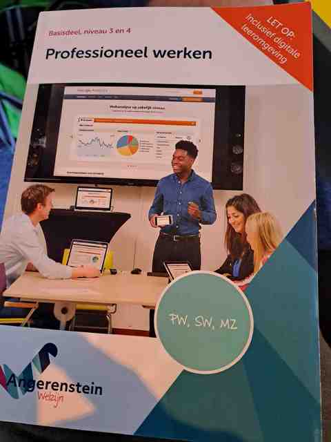 9789037254372-NIEUW-BOEK-Professioneel-werken